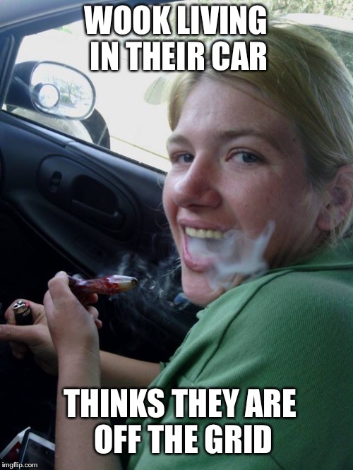 punk420 | WOOK LIVING IN THEIR CAR; THINKS THEY ARE OFF THE GRID | image tagged in punk420 | made w/ Imgflip meme maker