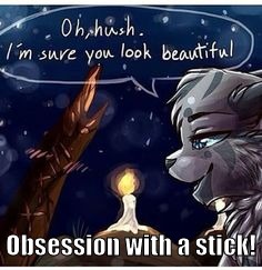 Obsession with a stick! | image tagged in jayfeather | made w/ Imgflip meme maker