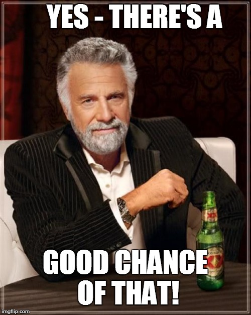 The Most Interesting Man In The World Meme | YES - THERE'S A GOOD CHANCE OF THAT! | image tagged in memes,the most interesting man in the world | made w/ Imgflip meme maker