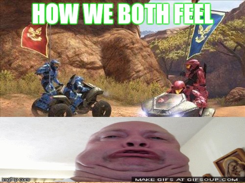 Halo | HOW WE BOTH FEEL | image tagged in halo | made w/ Imgflip meme maker
