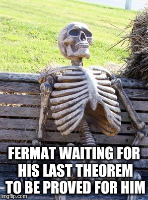 Waiting Skeleton | FERMAT WAITING FOR HIS LAST THEOREM TO BE PROVED FOR HIM | image tagged in memes,waiting skeleton | made w/ Imgflip meme maker