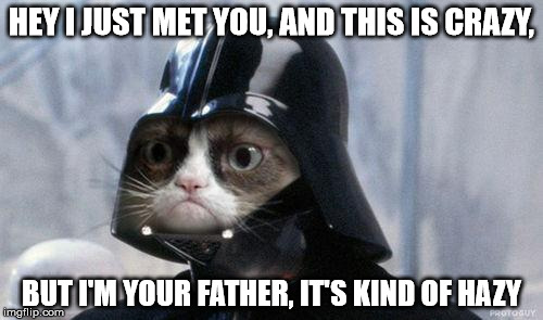 Grumpy Cat Star Wars Meme | HEY I JUST MET YOU, AND THIS IS CRAZY, BUT I'M YOUR FATHER, IT'S KIND OF HAZY | image tagged in memes,grumpy cat star wars,grumpy cat | made w/ Imgflip meme maker