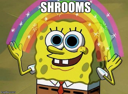 Imagination Spongebob | SHROOMS | image tagged in memes,imagination spongebob | made w/ Imgflip meme maker