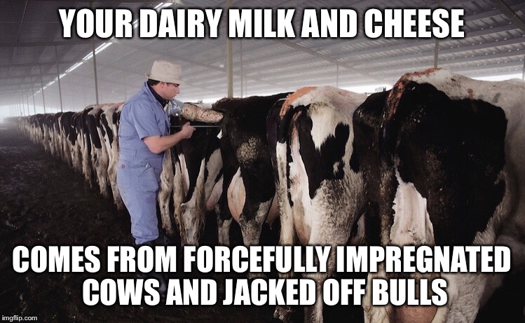 Dairy is scary | YOUR DAIRY MILK AND CHEESE; COMES FROM FORCEFULLY IMPREGNATED COWS AND JACKED OFF BULLS | image tagged in vegan4life,vegan,dairy | made w/ Imgflip meme maker