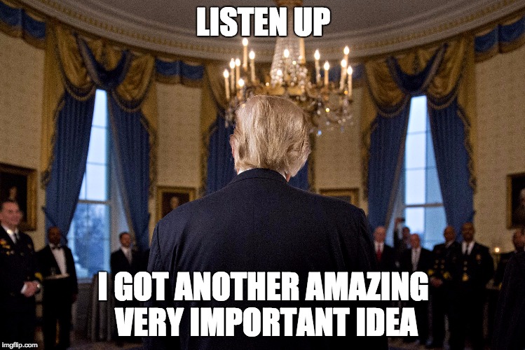 something new | LISTEN UP; I GOT ANOTHER AMAZING VERY IMPORTANT IDEA | image tagged in donald trump approves,great idea | made w/ Imgflip meme maker
