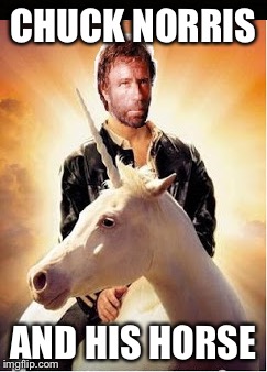 CHUCK NORRIS; AND HIS HORSE | image tagged in chuck norris week | made w/ Imgflip meme maker