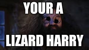 hagrid | YOUR A; LIZARD HARRY | image tagged in memes | made w/ Imgflip meme maker