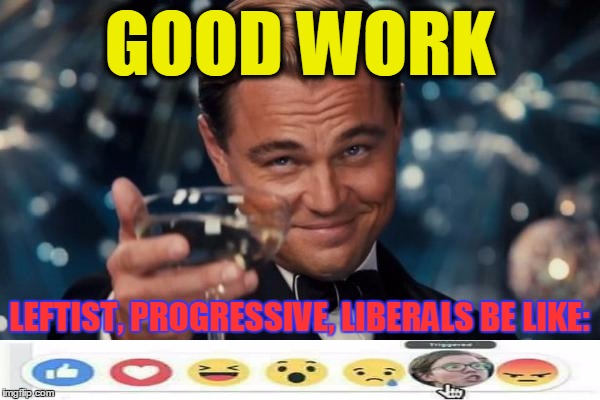 Leonardo Dicaprio Cheers Meme | GOOD WORK LEFTIST, PROGRESSIVE, LIBERALS BE LIKE: | image tagged in memes,leonardo dicaprio cheers | made w/ Imgflip meme maker