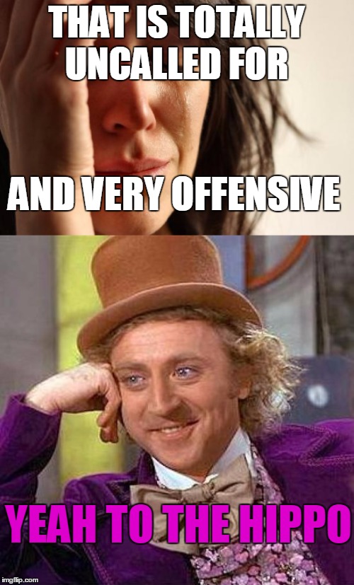 THAT IS TOTALLY UNCALLED FOR YEAH TO THE HIPPO AND VERY OFFENSIVE | made w/ Imgflip meme maker