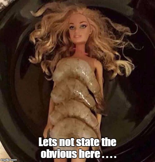 Slow news day.....sorry folks. | Lets not state the obvious here . . . . | image tagged in memes,barbie | made w/ Imgflip meme maker