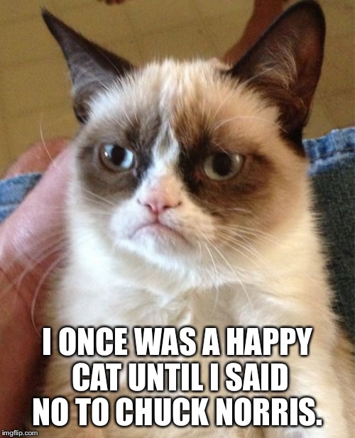 Grumpy Cat | I ONCE WAS A HAPPY CAT UNTIL I SAID NO TO CHUCK NORRIS. | image tagged in memes,grumpy cat | made w/ Imgflip meme maker