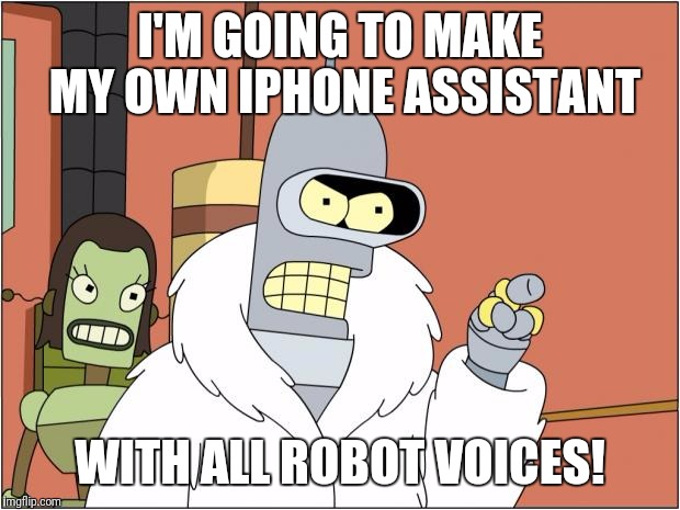 Blackjack and Hookers Optional | I'M GOING TO MAKE MY OWN IPHONE ASSISTANT; WITH ALL ROBOT VOICES! | image tagged in memes,bender | made w/ Imgflip meme maker