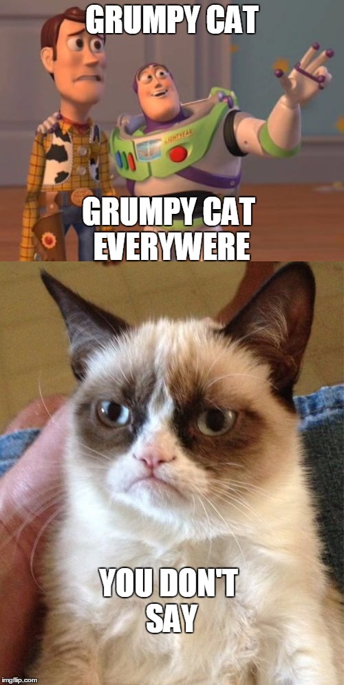 GRUMPY CAT; GRUMPY CAT EVERYWERE; YOU DON'T SAY | made w/ Imgflip meme maker