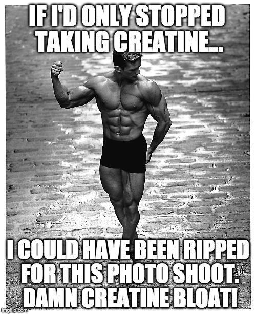 Creatine Myths must die! | IF I'D ONLY STOPPED TAKING CREATINE... I COULD HAVE BEEN RIPPED FOR THIS PHOTO SHOOT. DAMN CREATINE BLOAT! | image tagged in creatine | made w/ Imgflip meme maker