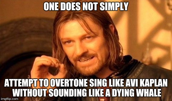 One Does Not Simply Meme | ONE DOES NOT SIMPLY; ATTEMPT TO OVERTONE SING LIKE AVI KAPLAN WITHOUT SOUNDING LIKE A DYING WHALE | image tagged in memes,one does not simply | made w/ Imgflip meme maker