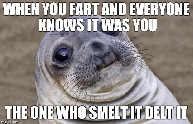 Awkward Moment Sealion Meme | WHEN YOU FART AND EVERYONE KNOWS IT WAS YOU; THE ONE WHO SMELT IT DELT IT | image tagged in memes,awkward moment sealion | made w/ Imgflip meme maker