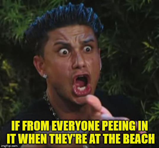 Pauly | IF FROM EVERYONE PEEING IN IT WHEN THEY'RE AT THE BEACH | image tagged in pauly | made w/ Imgflip meme maker