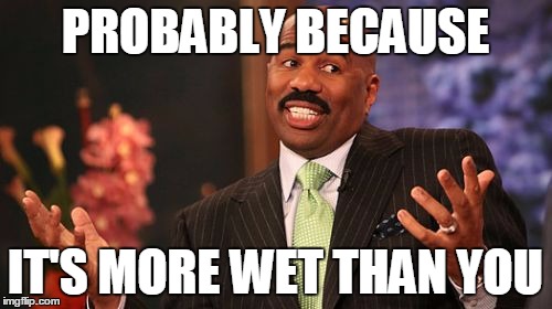 Steve Harvey Meme | PROBABLY BECAUSE IT'S MORE WET THAN YOU | image tagged in memes,steve harvey | made w/ Imgflip meme maker