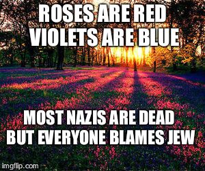 roses are red | ROSES ARE RED VIOLETS ARE BLUE; MOST NAZIS ARE DEAD BUT EVERYONE BLAMES JEW | image tagged in roses are red | made w/ Imgflip meme maker