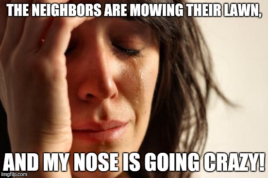 First World Problems Meme | THE NEIGHBORS ARE MOWING THEIR LAWN, AND MY NOSE IS GOING CRAZY! | image tagged in memes,first world problems | made w/ Imgflip meme maker