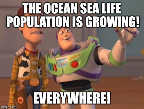 X, X Everywhere Meme | THE OCEAN SEA LIFE POPULATION IS GROWING! EVERYWHERE! | image tagged in memes,x x everywhere | made w/ Imgflip meme maker