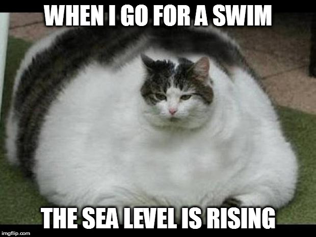 WHEN I GO FOR A SWIM THE SEA LEVEL IS RISING | made w/ Imgflip meme maker