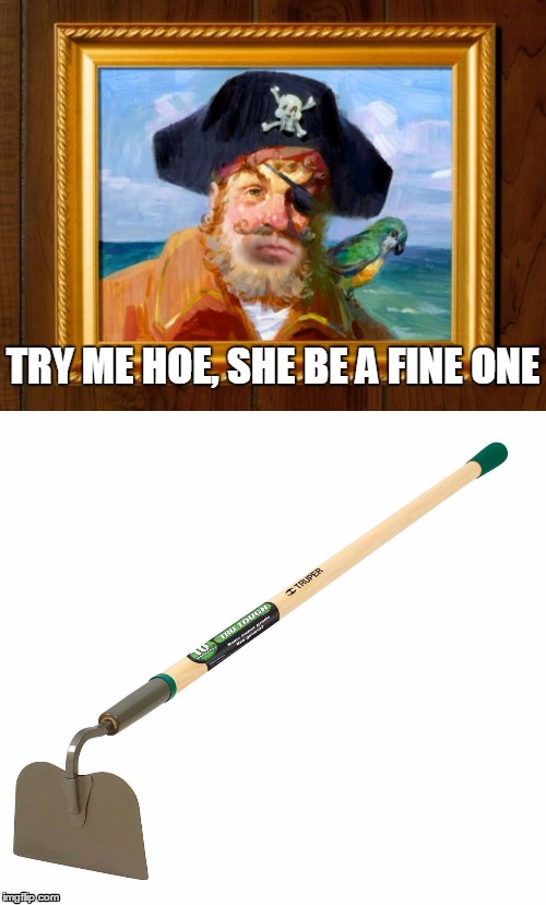 Pirate Hoe | TRY ME HOE, SHE BE A FINE ONE | image tagged in pirate,hoe,garden equipment,redbeard | made w/ Imgflip meme maker