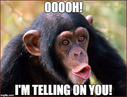Ooooh! I'm telling on you! | OOOOH! I'M TELLING ON YOU! | image tagged in monkey | made w/ Imgflip meme maker