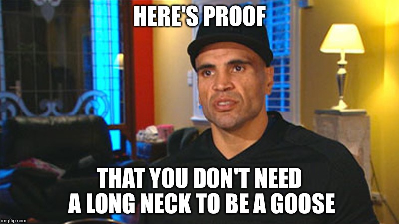 Anthony Mundine Goose | HERE'S PROOF; THAT YOU DON'T NEED A LONG NECK TO BE A GOOSE | image tagged in anthony mundine,goose,long neck | made w/ Imgflip meme maker