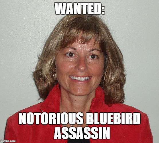 WANTED:; NOTORIOUS BLUEBIRD  ASSASSIN | image tagged in funny | made w/ Imgflip meme maker