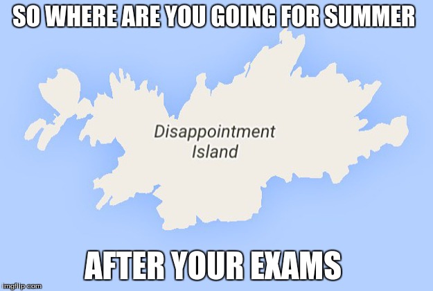 APES MEME | SO WHERE ARE YOU GOING FOR SUMMER; AFTER YOUR EXAMS | image tagged in funny,funny eyes | made w/ Imgflip meme maker