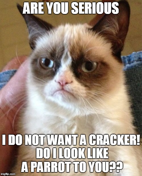 Grumpy Cat Meme | ARE YOU SERIOUS; I DO NOT WANT A CRACKER! DO I LOOK LIKE A PARROT TO YOU?? | image tagged in memes,grumpy cat | made w/ Imgflip meme maker