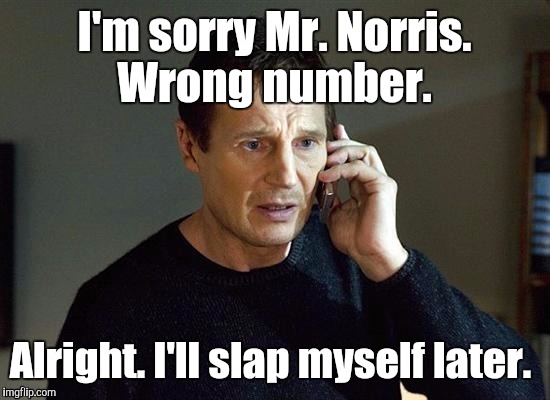 1kqva2.jpg | I'm sorry Mr. Norris. Wrong number. Alright. I'll slap myself later. | image tagged in 1kqva2jpg | made w/ Imgflip meme maker