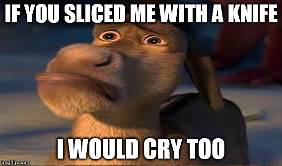 IF YOU SLICED ME WITH A KNIFE I WOULD CRY TOO | made w/ Imgflip meme maker