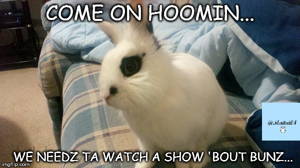 Bunny show | COME ON HOOMIN... WE NEEDZ TA WATCH A SHOW 'BOUT BUNZ... | image tagged in memes | made w/ Imgflip meme maker