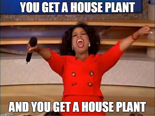 Oprah You Get A | YOU GET A HOUSE PLANT; AND YOU GET A HOUSE PLANT | image tagged in memes,oprah you get a | made w/ Imgflip meme maker