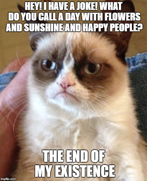 Grumpy Cat Meme | HEY! I HAVE A JOKE! WHAT DO YOU CALL A DAY WITH FLOWERS AND SUNSHINE AND HAPPY PEOPLE? THE END OF MY EXISTENCE | image tagged in memes,grumpy cat | made w/ Imgflip meme maker