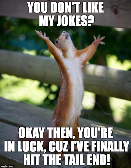 Happy Squirrel | YOU DON'T LIKE MY JOKES? OKAY THEN, YOU'RE IN LUCK, CUZ I'VE FINALLY HIT THE TAIL END! | image tagged in happy squirrel | made w/ Imgflip meme maker