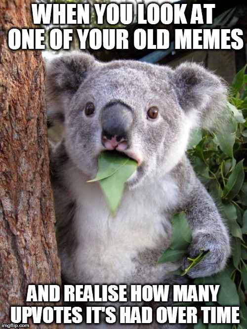 Whaa... when did that happen? | WHEN YOU LOOK AT ONE OF YOUR OLD MEMES; AND REALISE HOW MANY UPVOTES IT'S HAD OVER TIME | image tagged in shocked koala,memes,upvotes,popular,surprise | made w/ Imgflip meme maker