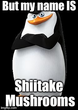 Skipper | But my name IS Shiitake Mushrooms | image tagged in skipper | made w/ Imgflip meme maker