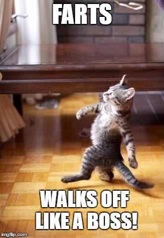 Cool Cat Stroll Meme | FARTS; WALKS OFF LIKE A BOSS! | image tagged in memes,cool cat stroll | made w/ Imgflip meme maker