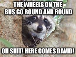 Racoon Problems | THE WHEELS ON THE BUS GO ROUND AND ROUND; OH SHIT! HERE COMES DAVID! | image tagged in racoon problems | made w/ Imgflip meme maker