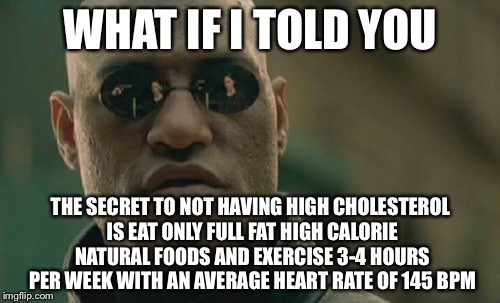 Matrix Morpheus Meme | WHAT IF I TOLD YOU THE SECRET TO NOT HAVING HIGH CHOLESTEROL IS EAT ONLY FULL FAT HIGH CALORIE NATURAL FOODS AND EXERCISE 3-4 HOURS PER WEEK | image tagged in memes,matrix morpheus | made w/ Imgflip meme maker