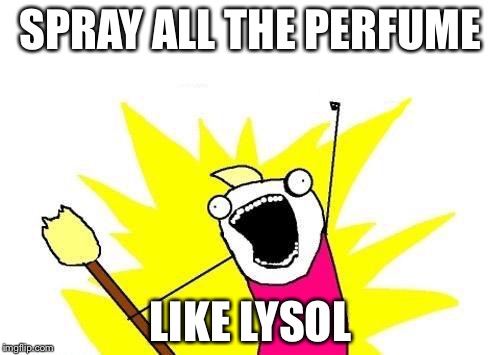 X All The Y Meme | SPRAY ALL THE PERFUME LIKE LYSOL | image tagged in memes,x all the y | made w/ Imgflip meme maker
