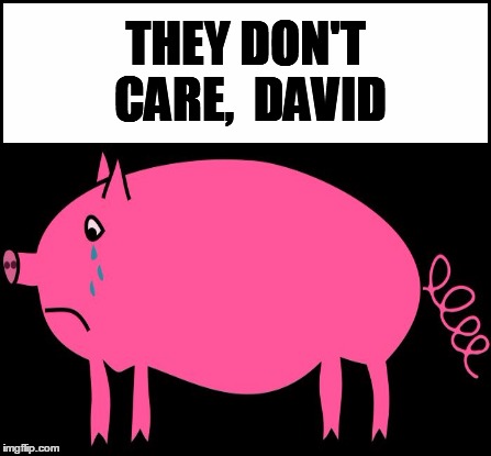 THEY DON'T CARE,  DAVID | made w/ Imgflip meme maker