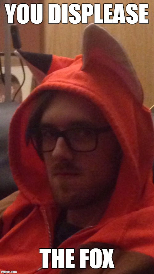 You displease the fox | YOU DISPLEASE; THE FOX | image tagged in selfie,fox,unhappy | made w/ Imgflip meme maker