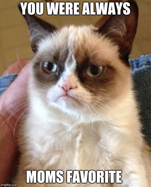 Grumpy Cat Meme | YOU WERE ALWAYS MOMS FAVORITE | image tagged in memes,grumpy cat | made w/ Imgflip meme maker