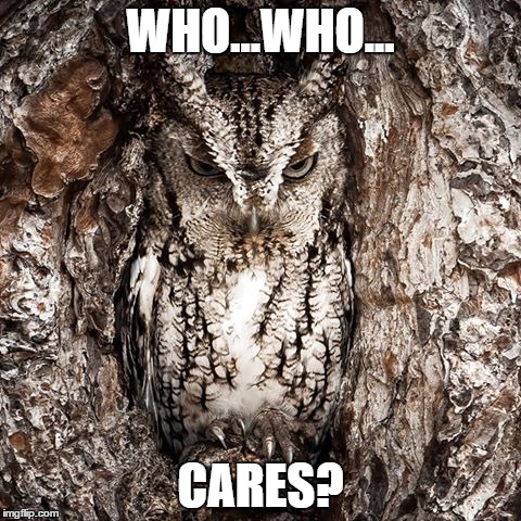 who cares | WHO...WHO... CARES? | image tagged in who cares,shut up,owl | made w/ Imgflip meme maker