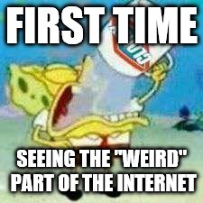 Spongebob Clorox  | FIRST TIME; SEEING THE "WEIRD" PART OF THE INTERNET | image tagged in spongebob clorox | made w/ Imgflip meme maker