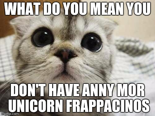 starbuckscat | WHAT DO YOU MEAN YOU; DON'T HAVE ANNY MOR UNICORN FRAPPACINOS | image tagged in starbuckscat | made w/ Imgflip meme maker